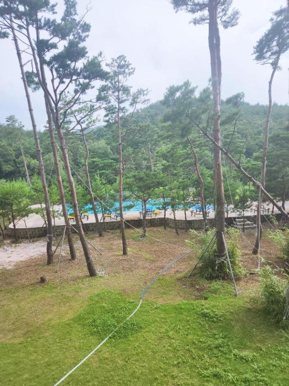 Sokcho Daemyung Heidi Pension Zewnętrze zdjęcie